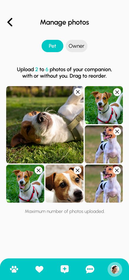 Manage photos